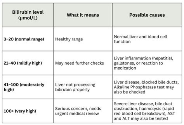 What hyperbilirubinemia mean
