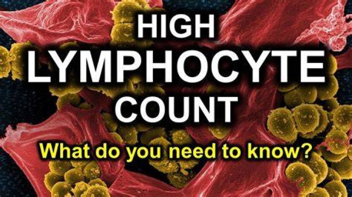 What if lymphocytes are high