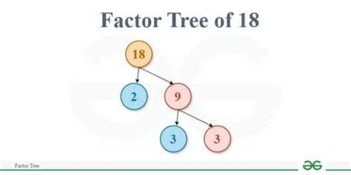 What is a factor tree for 18