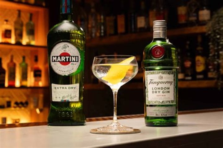 What is a gin martini called