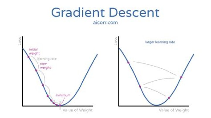 What is a gradient level