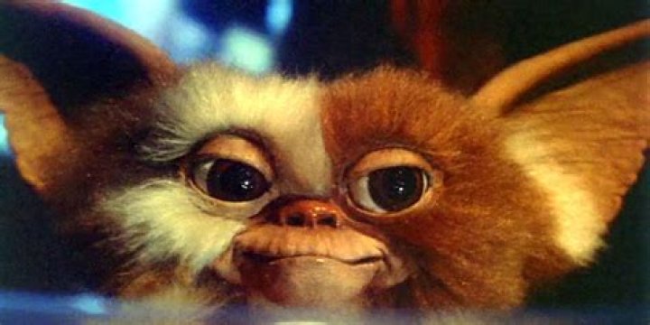 What is a gremlin look like