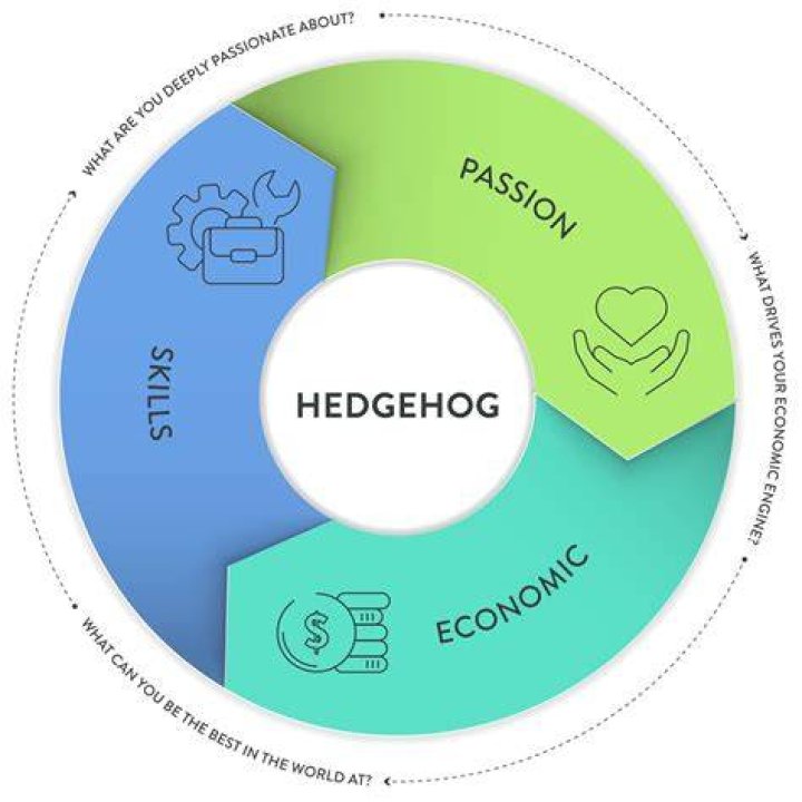 What is a hedgehog statement