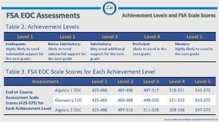 What is a level 3 on the FSA