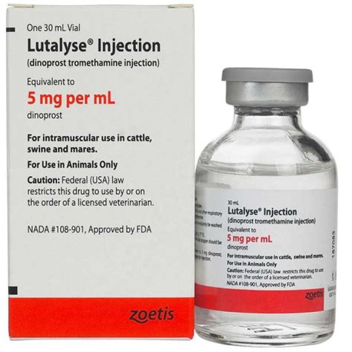 What is a Lutalyse injection