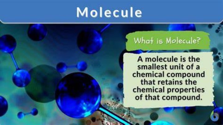 WHAT IS A molecules function