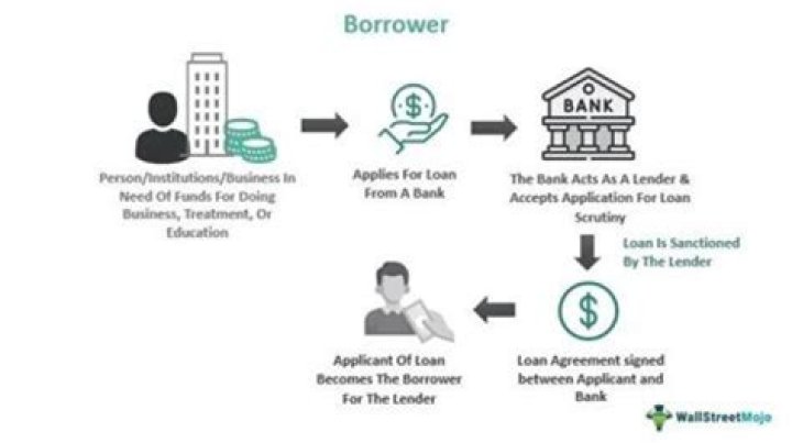 What is a principal borrower