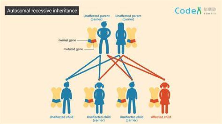 What is a recessive disorder