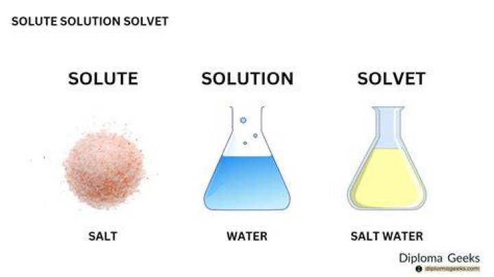 What is a solute and solvent