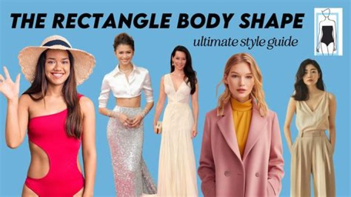 What is a standard body type