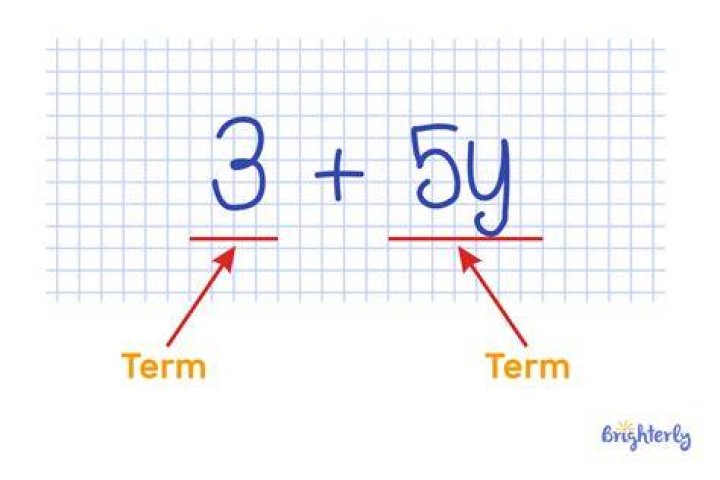What is a term in a function