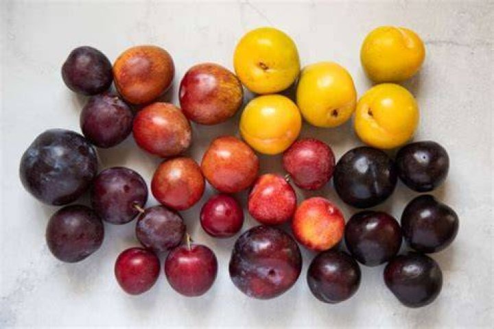 What is a yellow plum called