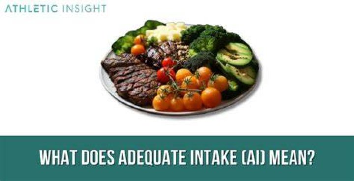 What is adequate intake mean