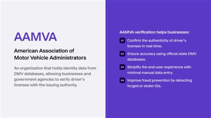 What is an AAMVA conviction