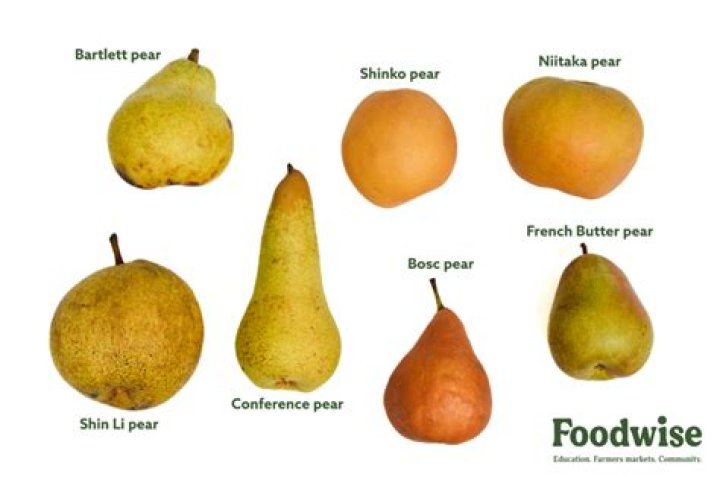 What is an apple pear called