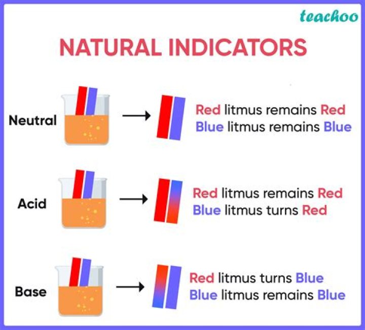 What is an indicator used for