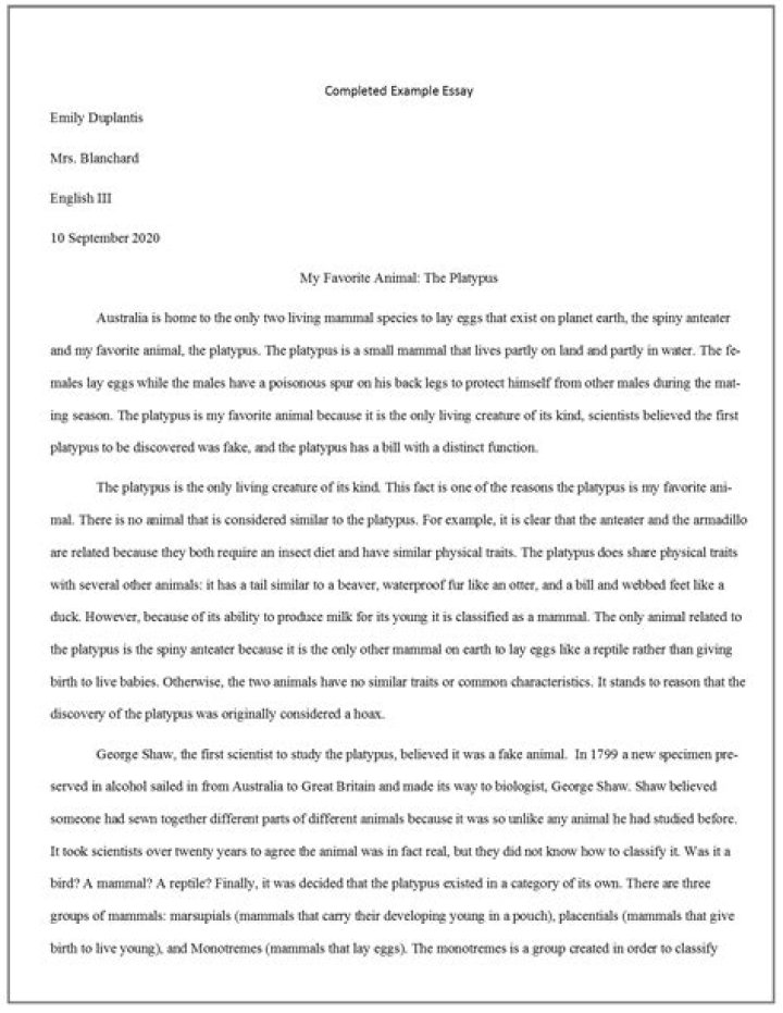 What is an informative paper