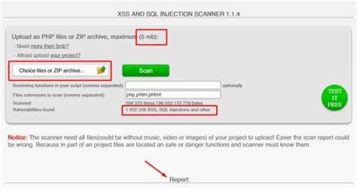 What is an XSS vulnerability