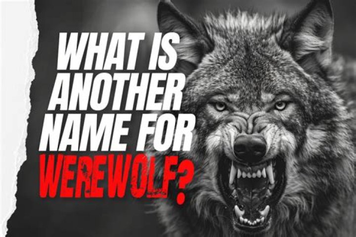 What is another name for bed