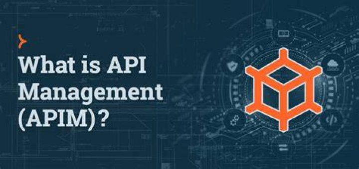 What is API data management