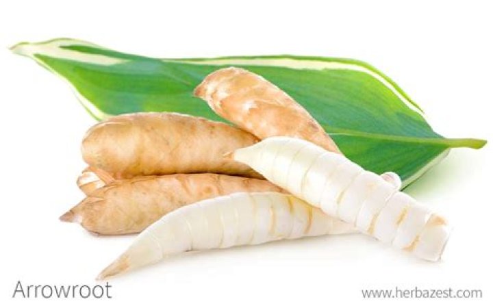 What is arrow root used for