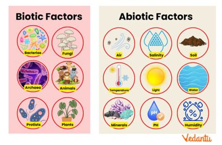 What is biotic short answer