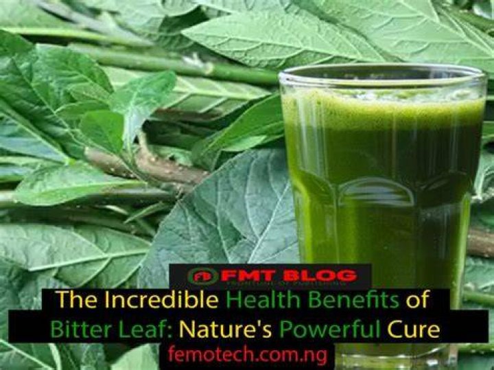 What is bitter leaf good for