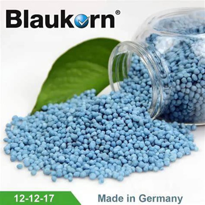 What is blue corn fertilizer