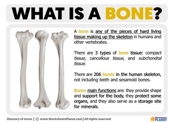 What is bone window setting