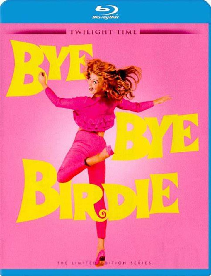 What is Bye Bye Birdie about