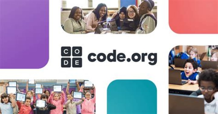 What is code org programming
