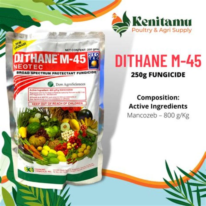 What is Dithane m45 used for