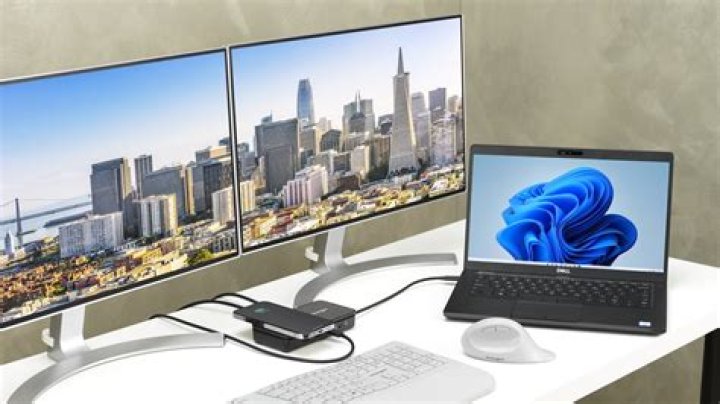 What is Dock in Windows form
