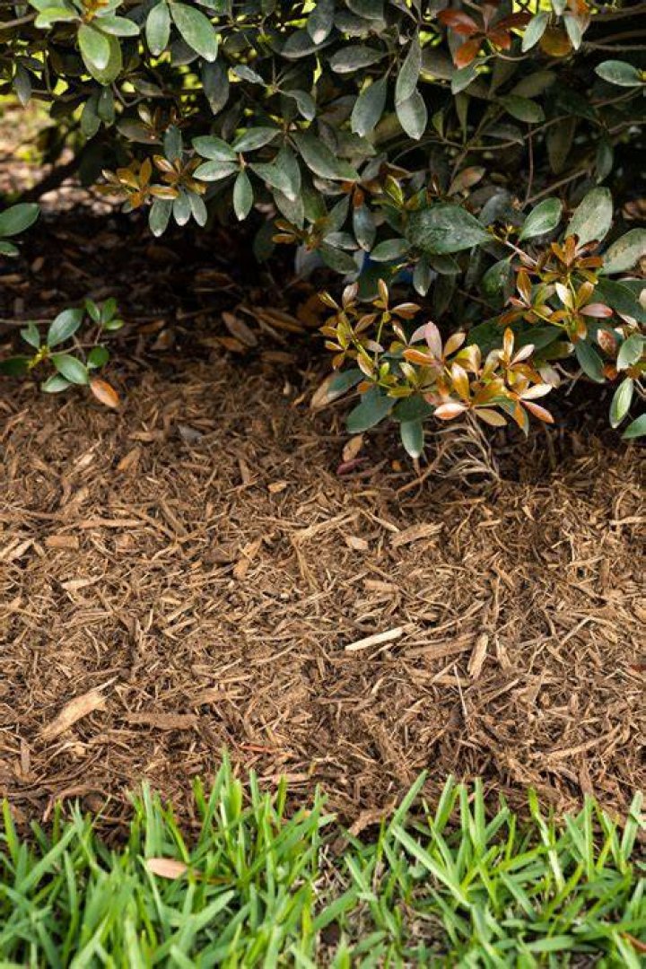 What is double ground mulch