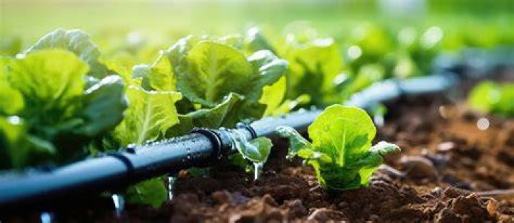 What is drip irrigation pipe