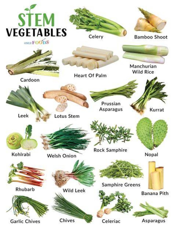 What is edible and examples