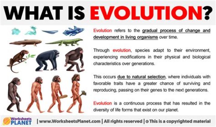 What is evolutionary theory