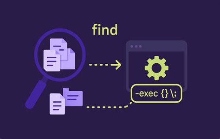 What is exec in Find command