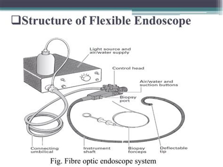What is fiberoptic endoscope