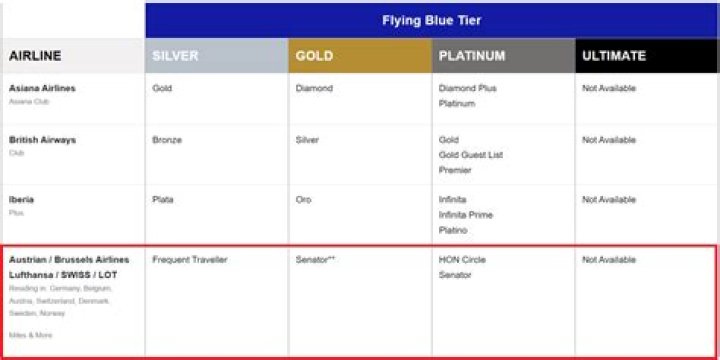 What is flying Blue Ultimate