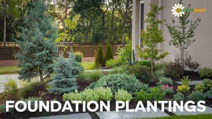 What is foundation planting
