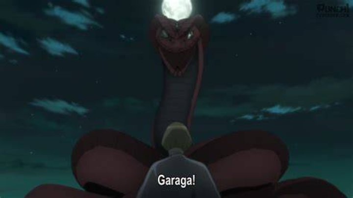 What is garaga