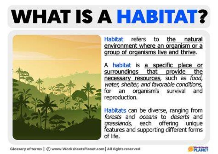 What is habitat give example