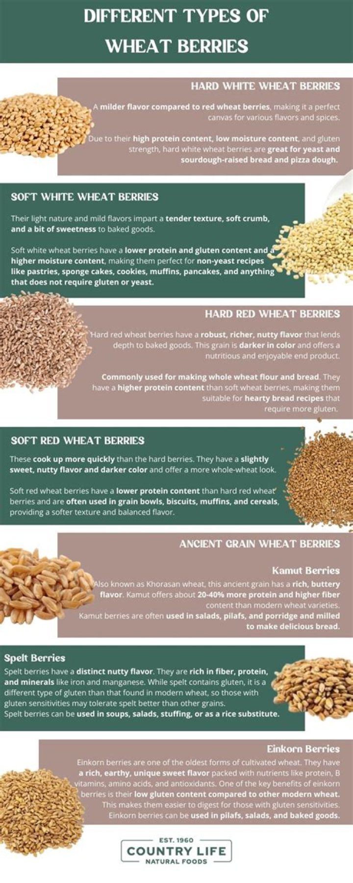 What is hard wheat used for