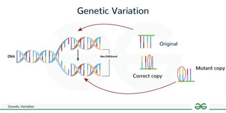 What is hereditary variation