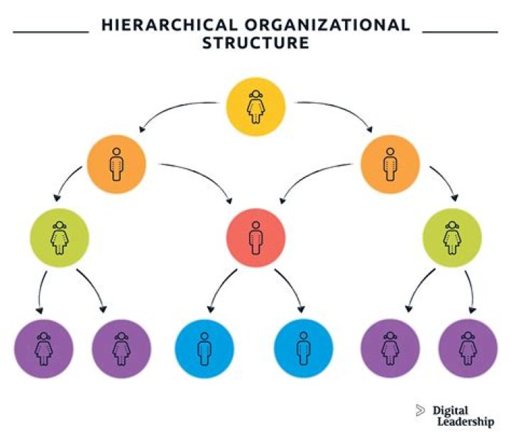 What is hierarchy in Angular