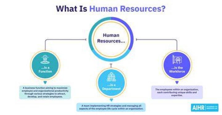 What is human error examples