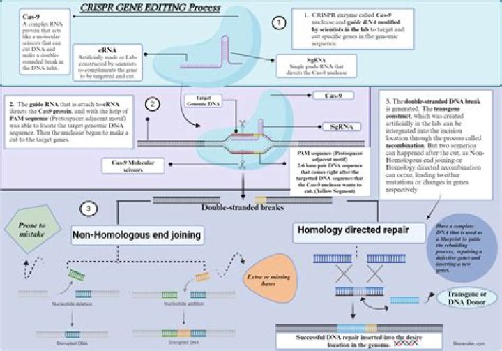 What is Human Genome editing