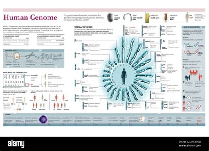 What is Human Genome Mapping