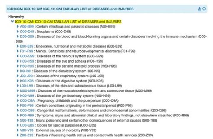 What is ICD 10 training